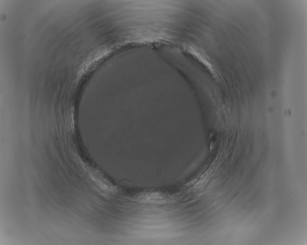 X0000074010685200609111624