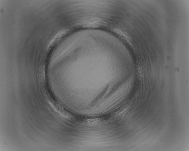 X0000074010686200609111624