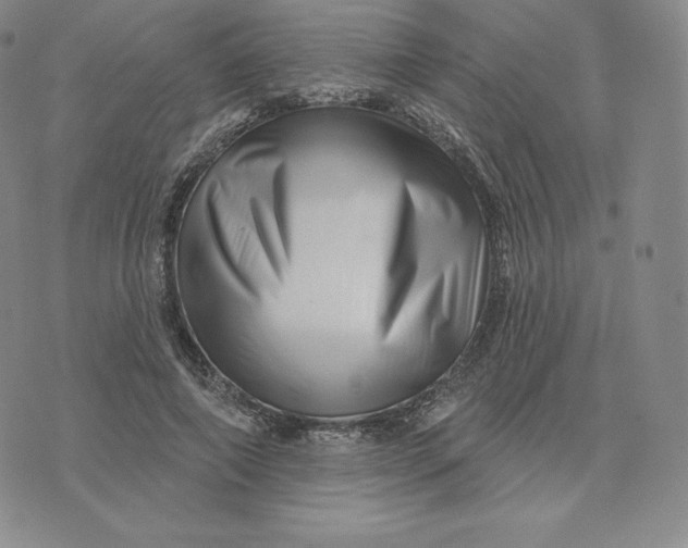 X0000074010690200609111624