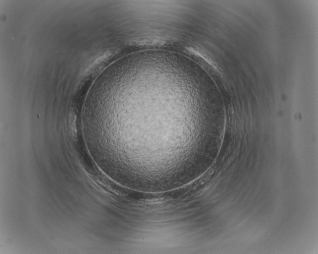 X0000074010692200609111624