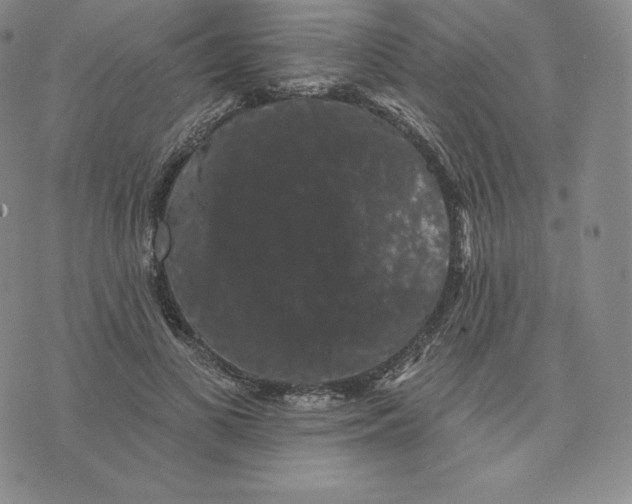 X0000074010693200609111624