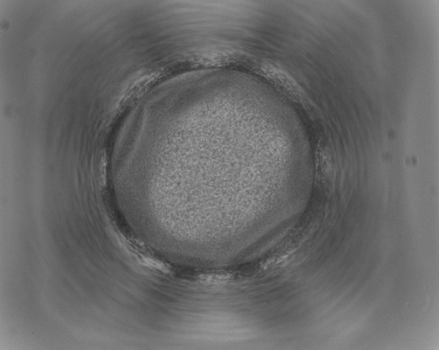 X0000074010694200609111624