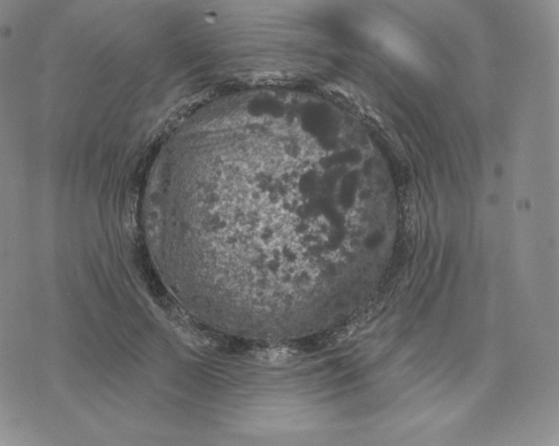 X0000074010695200609111624