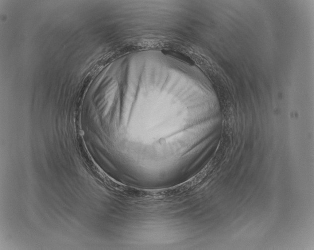 X0000074010696200609111624