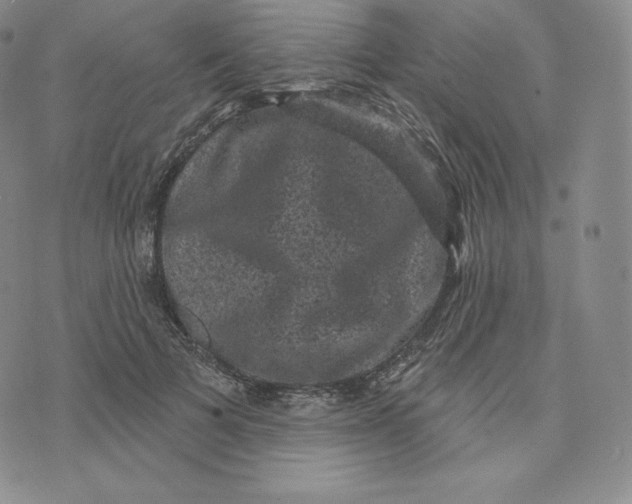 X0000074010697200609111624