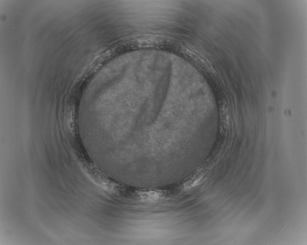 X0000074010698200609111624