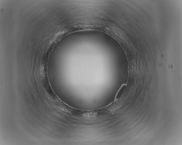 X0000074010700200609111624