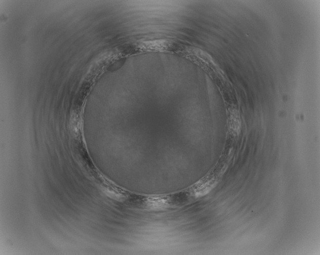 X0000074010701200609111624