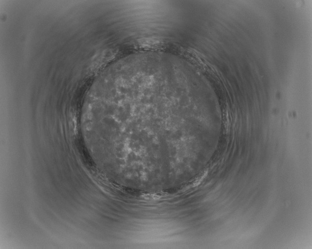 X0000074010703200609111624