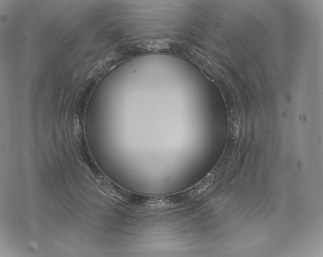 X0000074010704200609111624