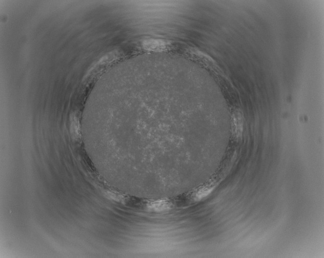 X0000074010705200609111624