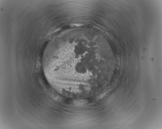 X0000074010707200609111624