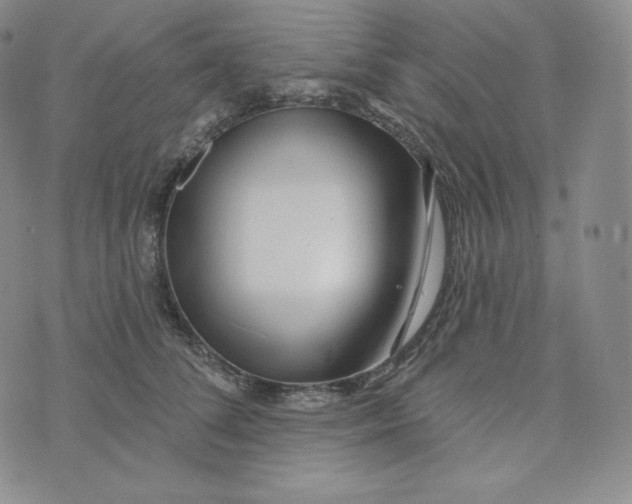 X0000074010708200609111624