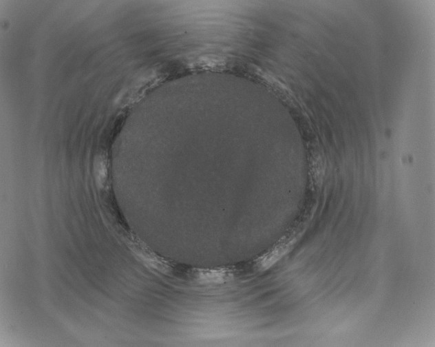 X0000074010709200609111624