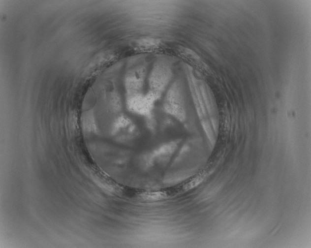 X0000074010711200609111624