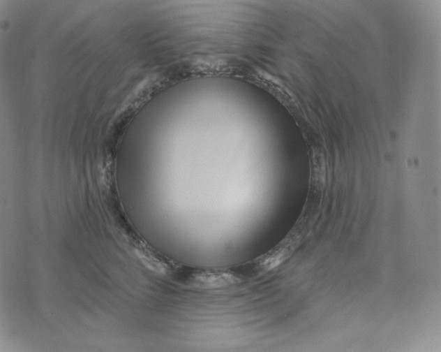 X0000074010712200609111624