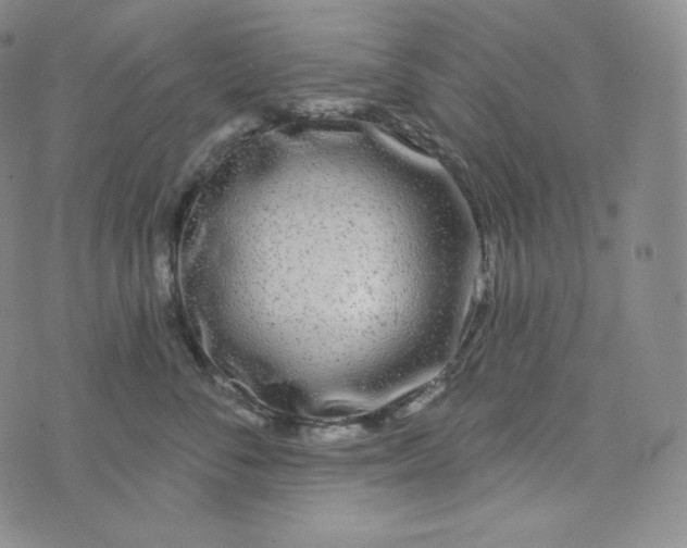 X0000074010716200609111623