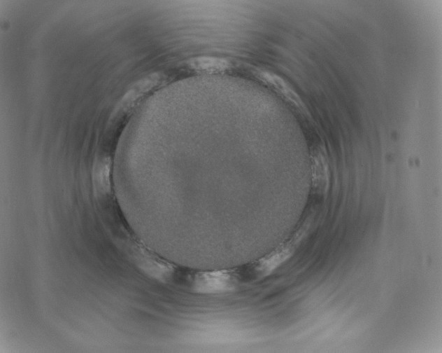 X0000074010717200609111623