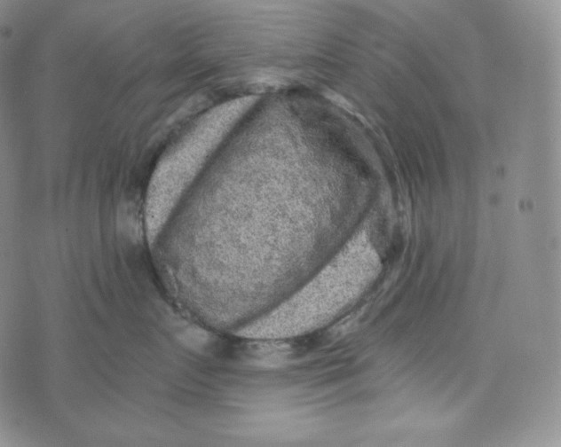 X0000074010719200609111623