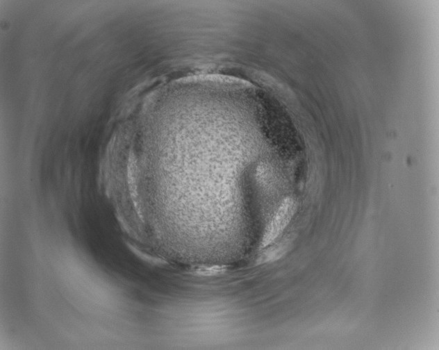 X0000074010720200609111623