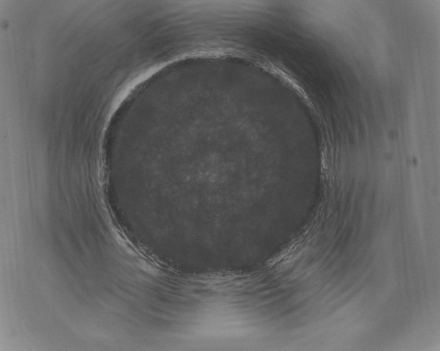 X0000074010724200609111623