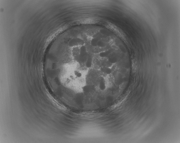 X0000074010725200609111623