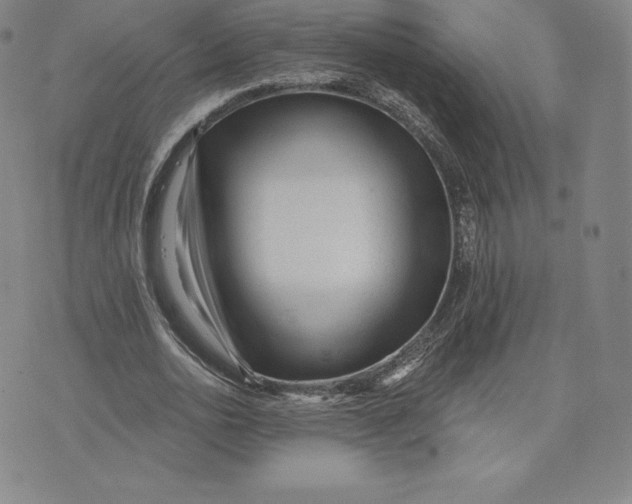 X0000074010726200609111623