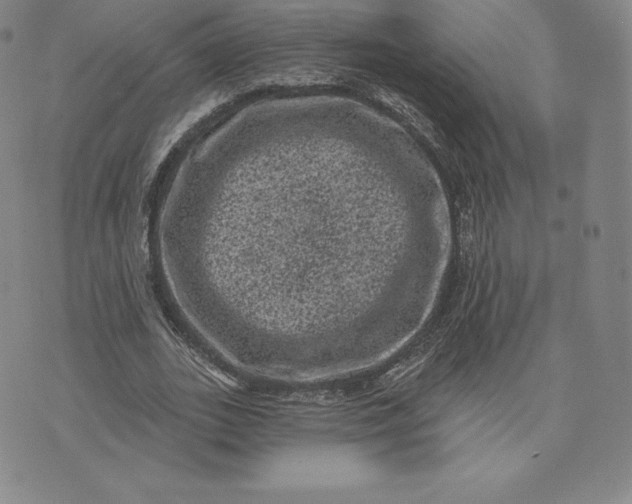 X0000074010727200609111623