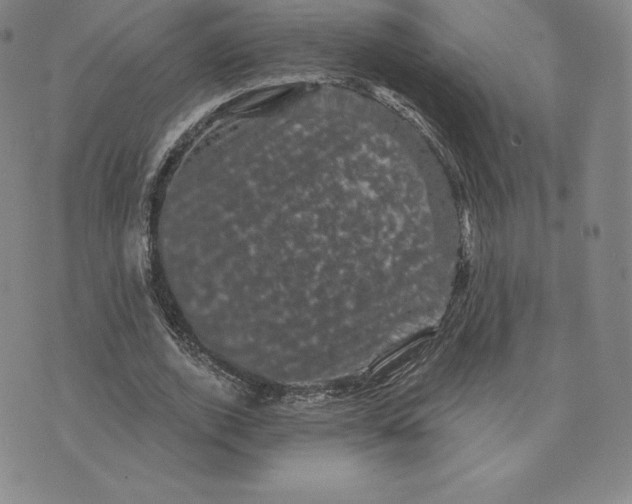 X0000074010728200609111623