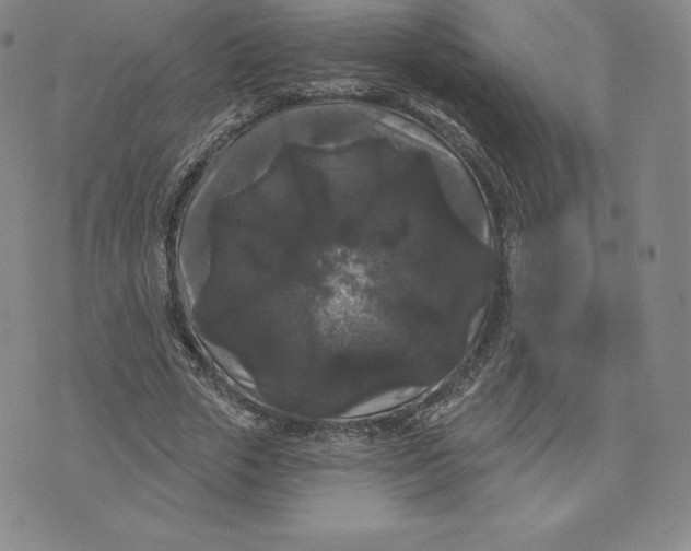 X0000074010729200609111623