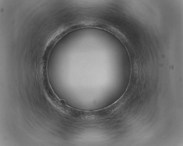 X0000074010730200609111623