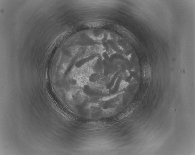 X0000074010733200609111623