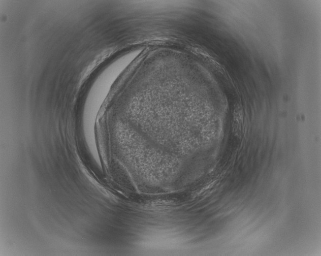 X0000074010734200609111623