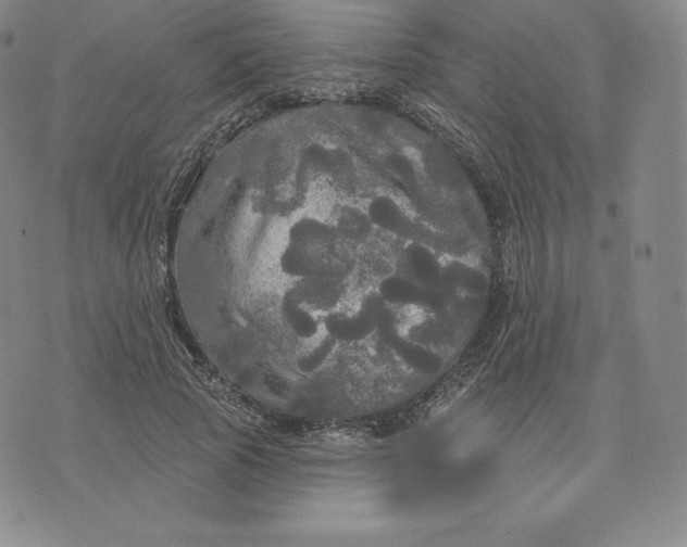 X0000074010737200609111623