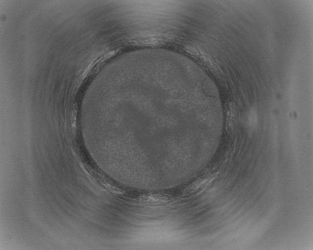 X0000074010739200609111623