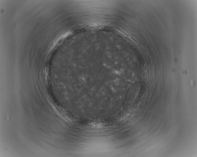 X0000074010742200609111623