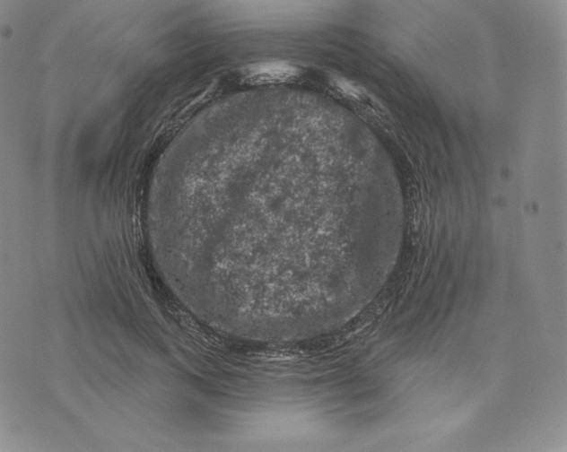 X0000074010743200609111623