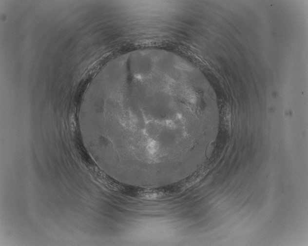 X0000074010746200609111623