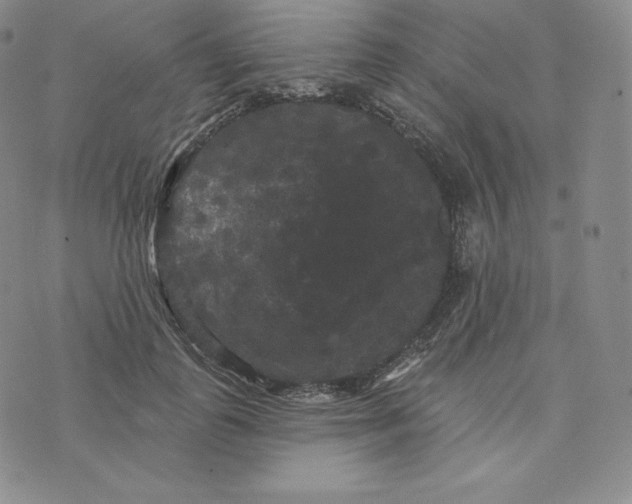 X0000074010747200609111623