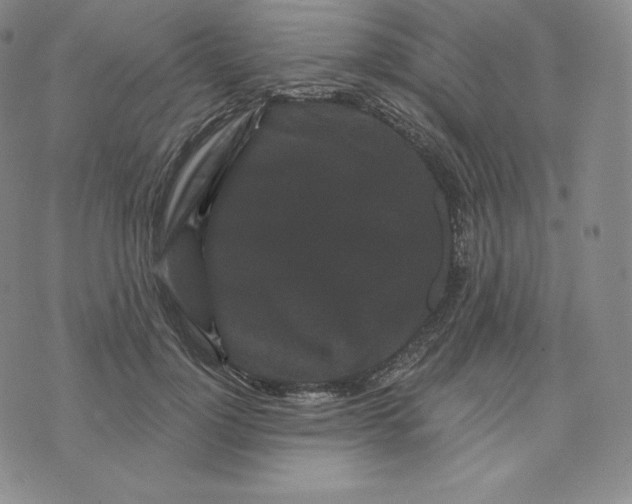 X0000074010748200609111623