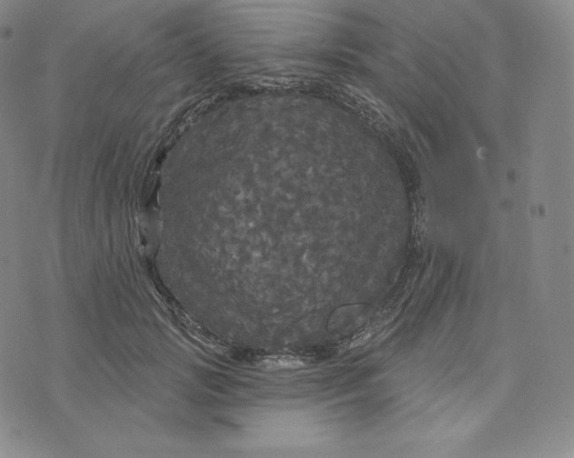 X0000074010749200609111623