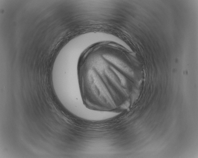 X0000074010750200609111623