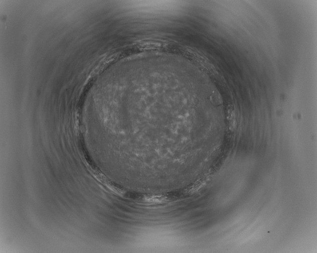 X0000074010753200609111623