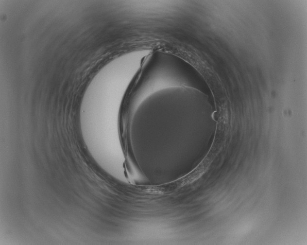 X0000074010754200609111623