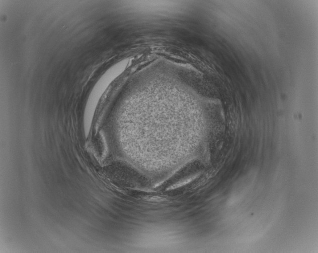 X0000074010755200609111623