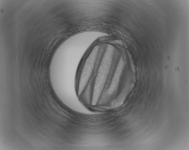 X0000074010756200609111623