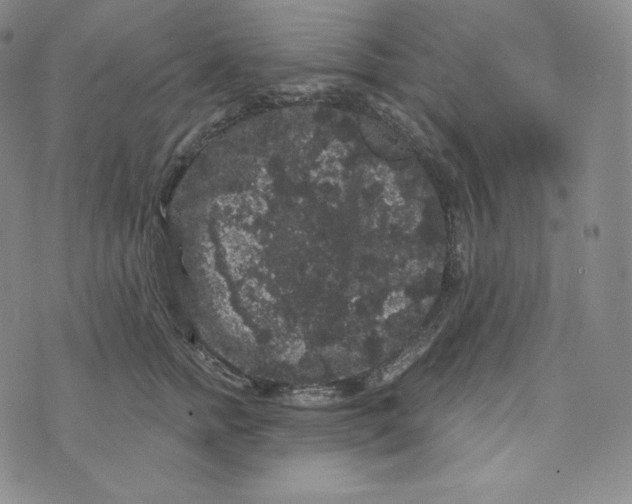 X0000074010758200609111623