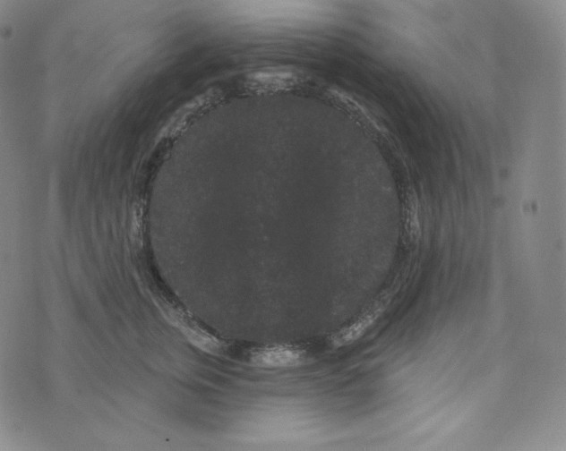 X0000074010759200609111623