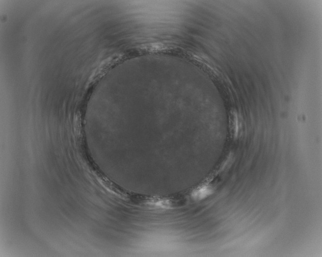 X0000074010760200609111623