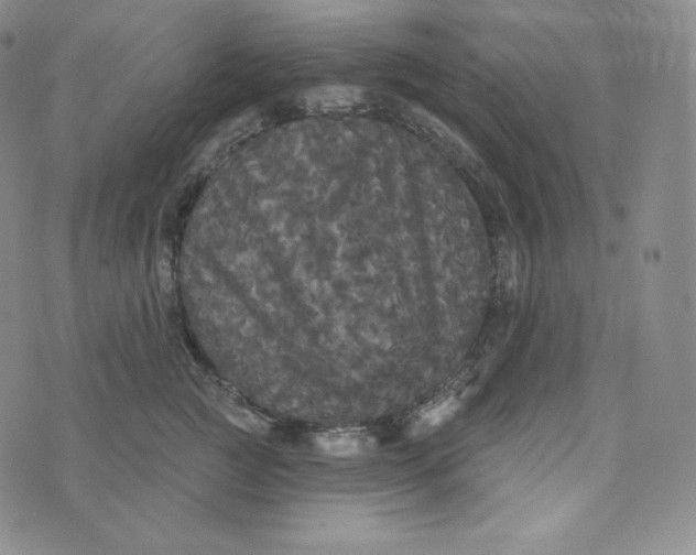 X0000074010761200609111623